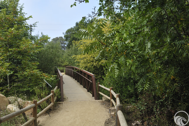 Douglas Family Preserve