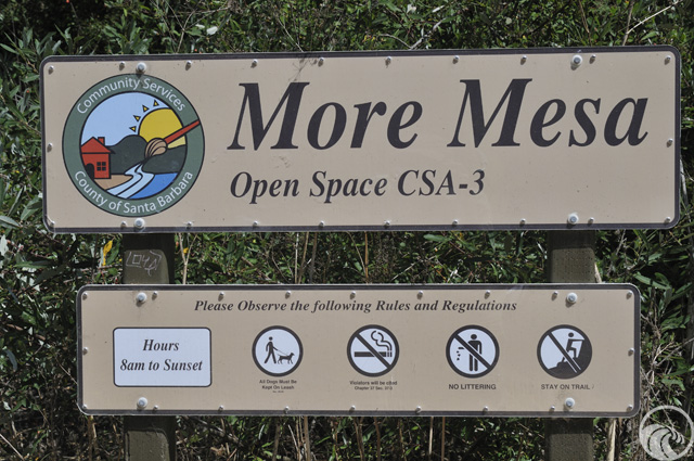 More Mesa Open Space