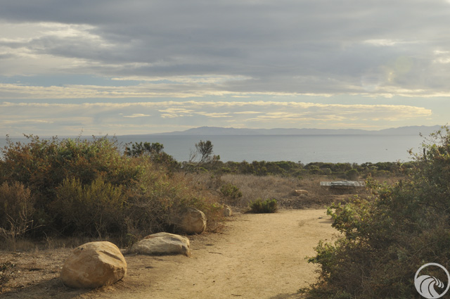 Carpinteria Bluffs Nature Preserve