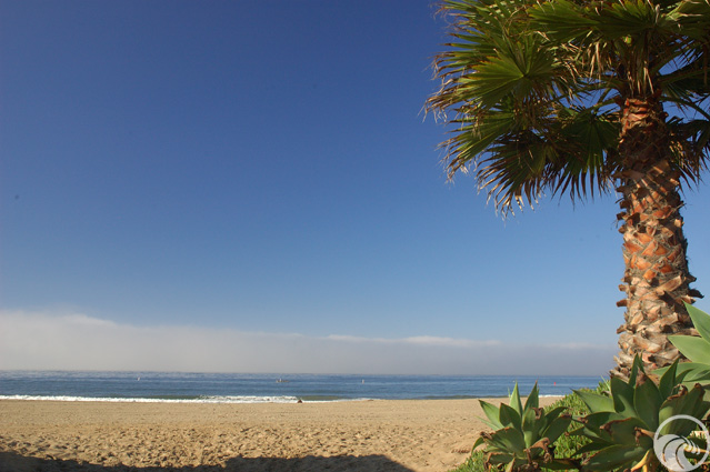Carpinteria City Beach
