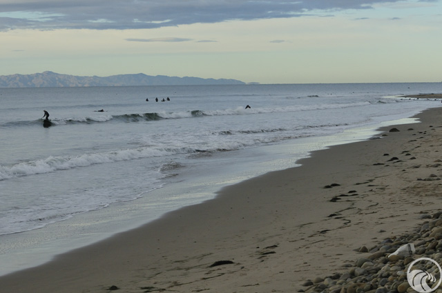 Surfer's Point at Seaside Park