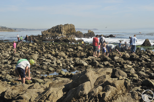 Leo Carrillo State Park