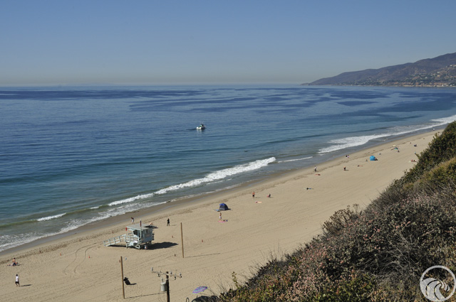 Representative image for Point Dume Whale Watch