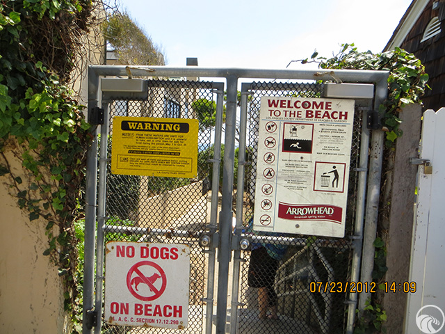 Representative image for Broad Beach (East Accessway)