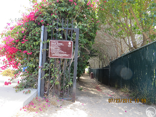 Representative image for Lechuza Beach (Central Accessway)