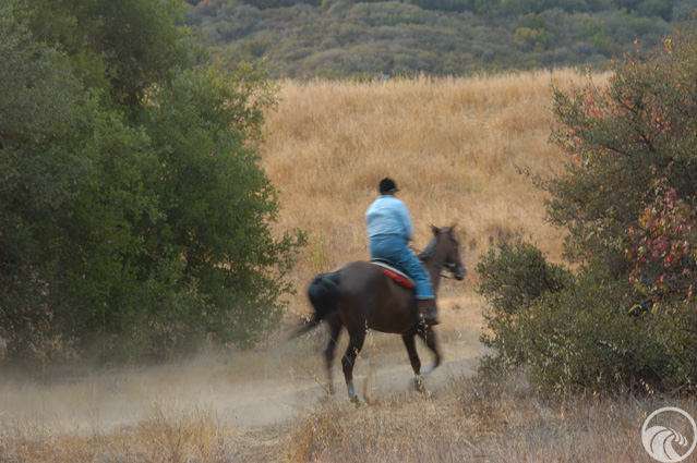 Rocky Oaks