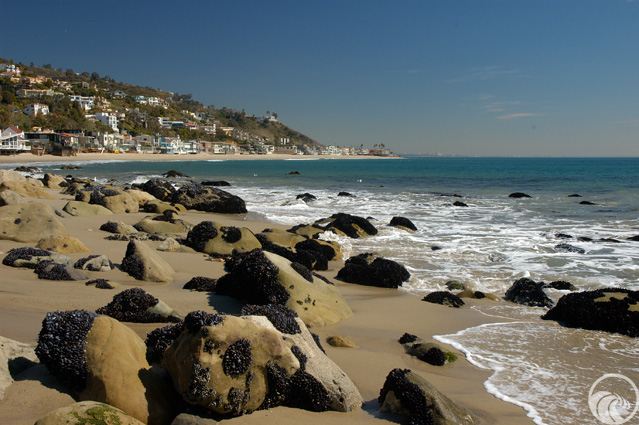 Representative image for La Costa Beach