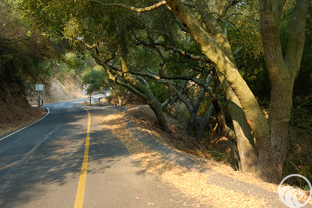 Tuna Canyon Park