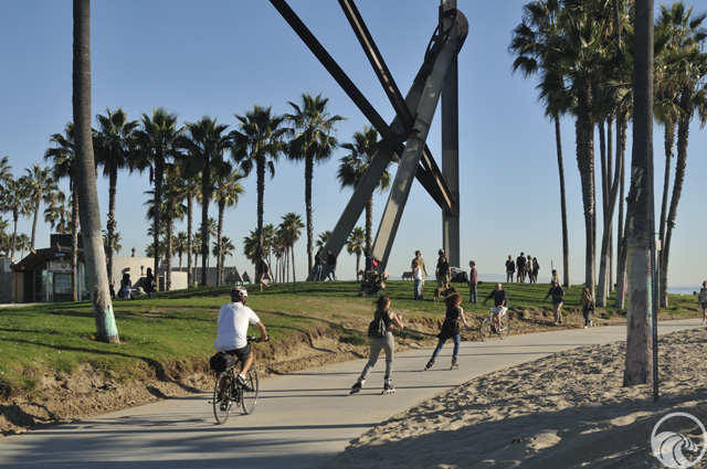 Venice City Beach - YourCoast