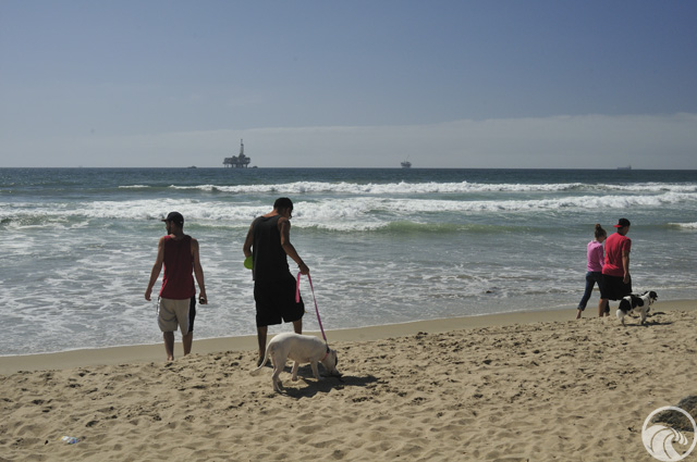 Dog Beach (Huntington Beach)