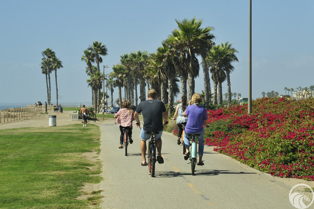 Dog Beach (Huntington Beach)