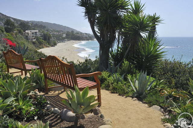 Treasure Island Park