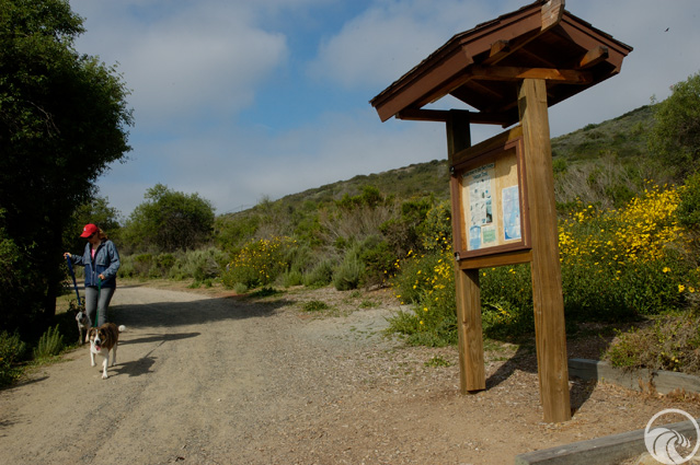 San Mateo Campground