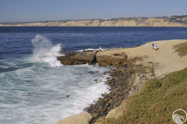 Ellen Browning Scripps Park photo