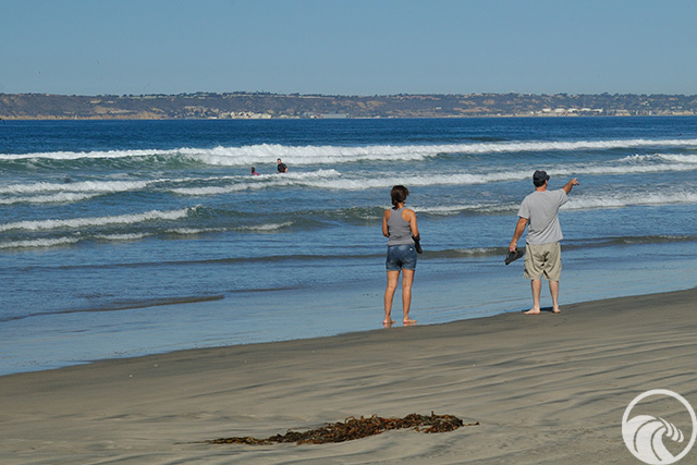 Silver Strand State Beach | San Diego