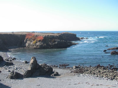 View of the Cove and Ocean from Belinda Point Trail