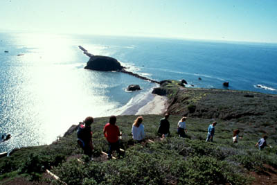 Pecho Coast Trail near Avila Beach