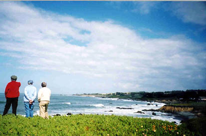 Coastal Viewpoint, Pescadero, San Mateo County