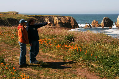 The Pt. Buchon Trail 