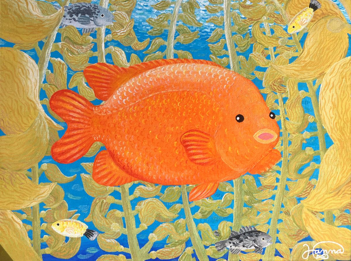 A bright orange Garibald swimns through a kelp forest with other fish.