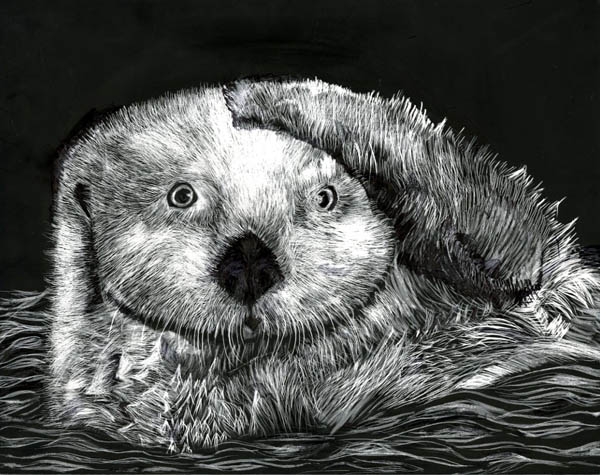 scratch art of an otter in the water