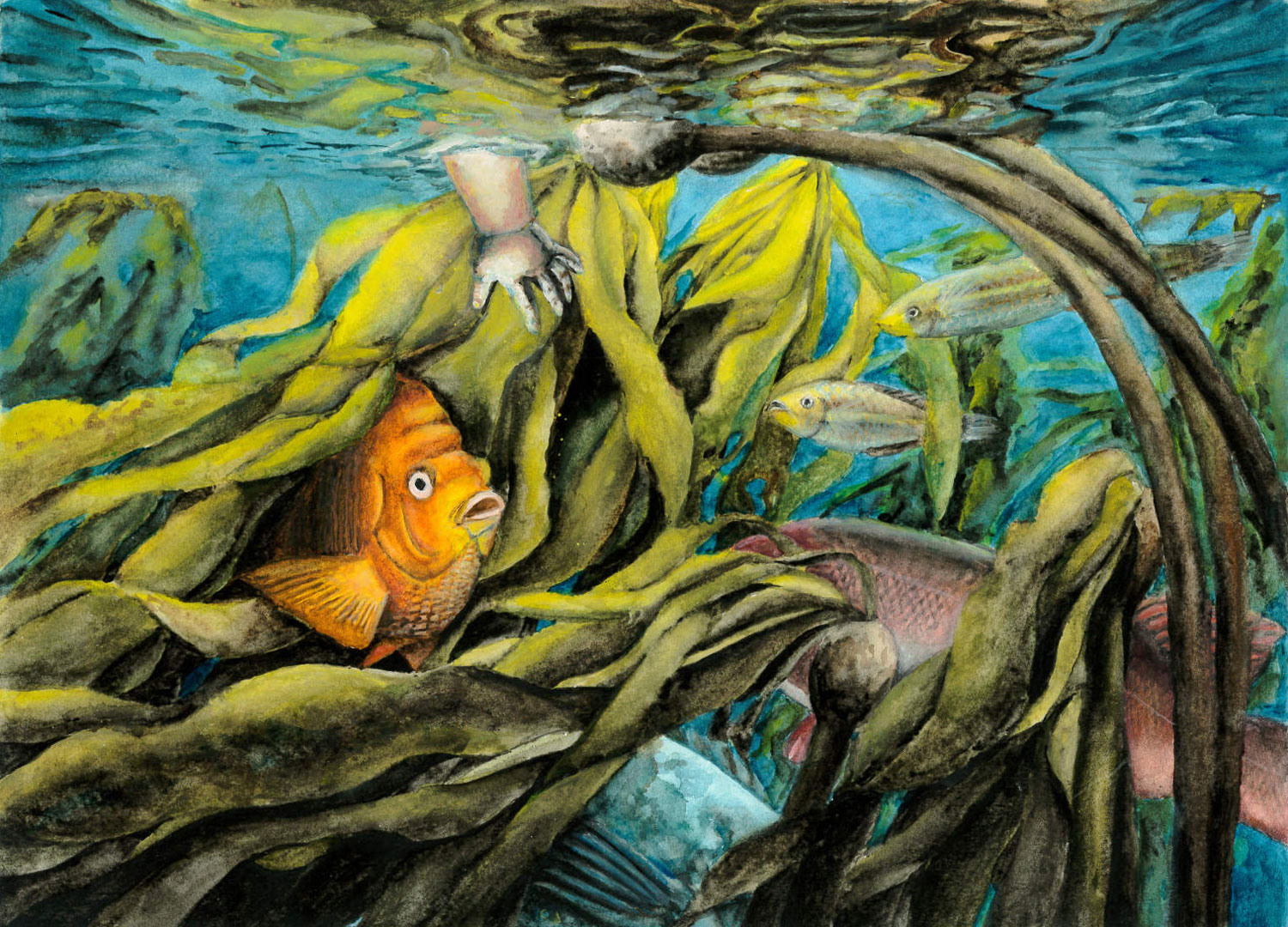 Fish swimming among kelp as a child's hand reaches down from the surface, in watercolor