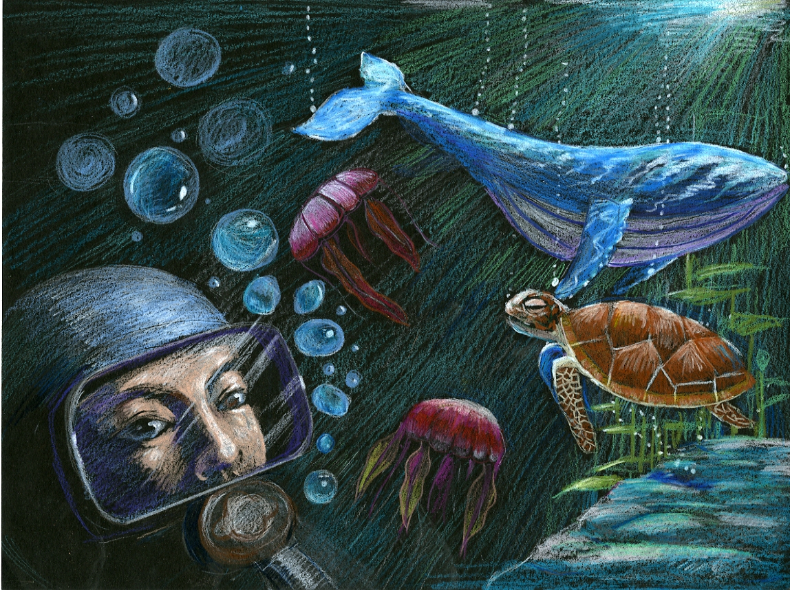 Colored pencil drawing of a scuba diver underwater, surrounded by ocean animals