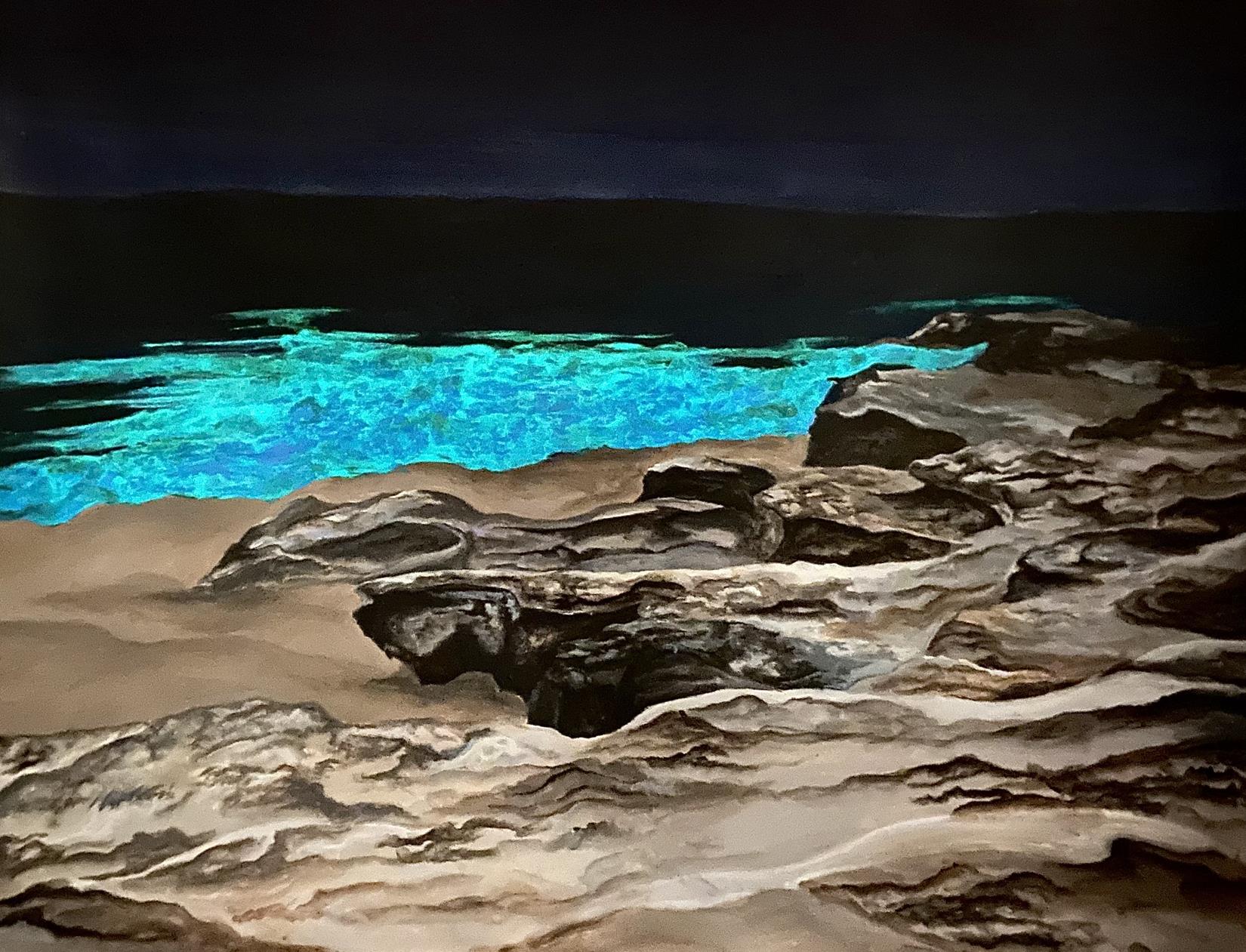 iridescent ocean water off of a sandy beach, black night sky