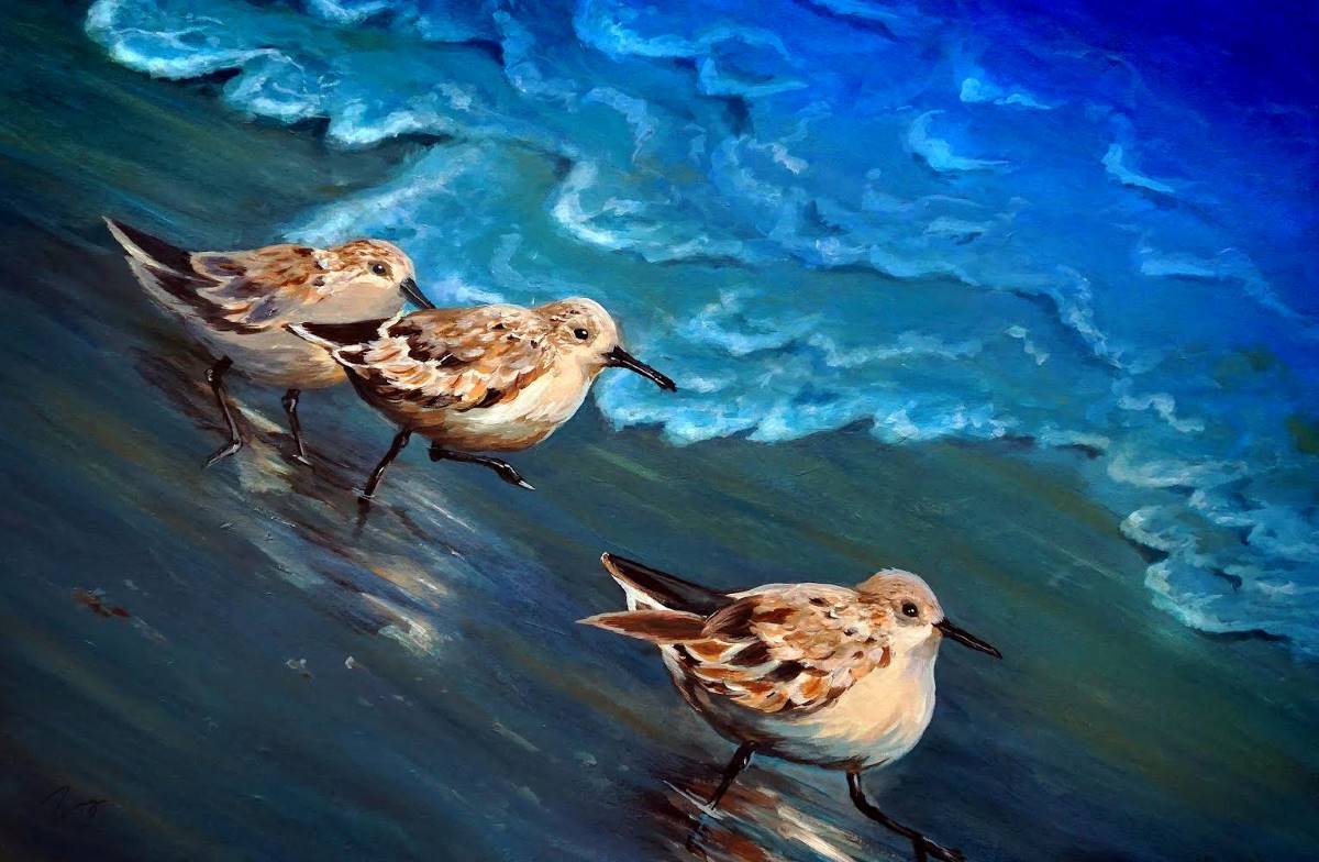 Three little birds walk down the sand as bule water washes up next to them.