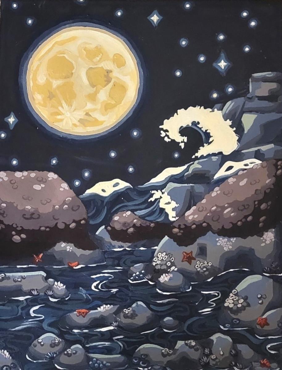 A large full moon shines over a tidepool scene.