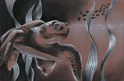 Ocean Turtle, Art by Alison Garcia, Grade 11