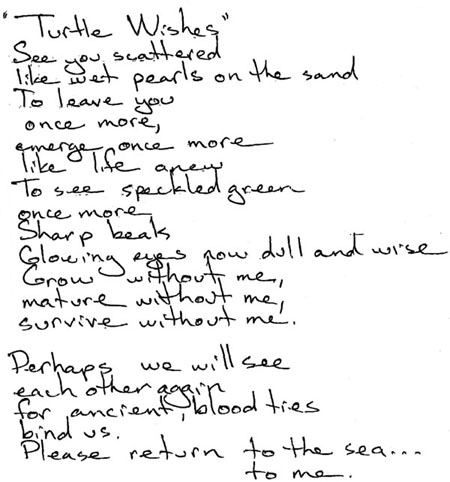 "Turtle Wishes" a poem by Nathalia Cruz