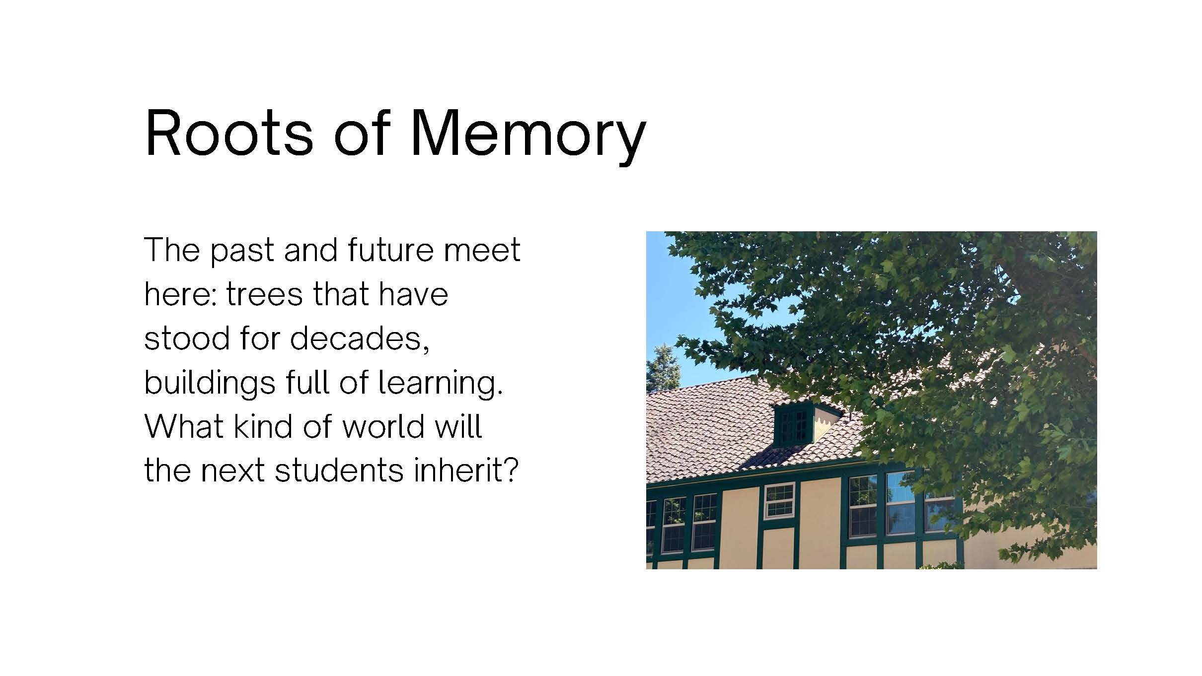 Photo of the roof and top floor of a building, shaded by a tree. Text: Roots of 
					Memory. The past and future meet here: trees that have stood for decades, buildings full 
					of learning. What kind of world will the next students inherit?