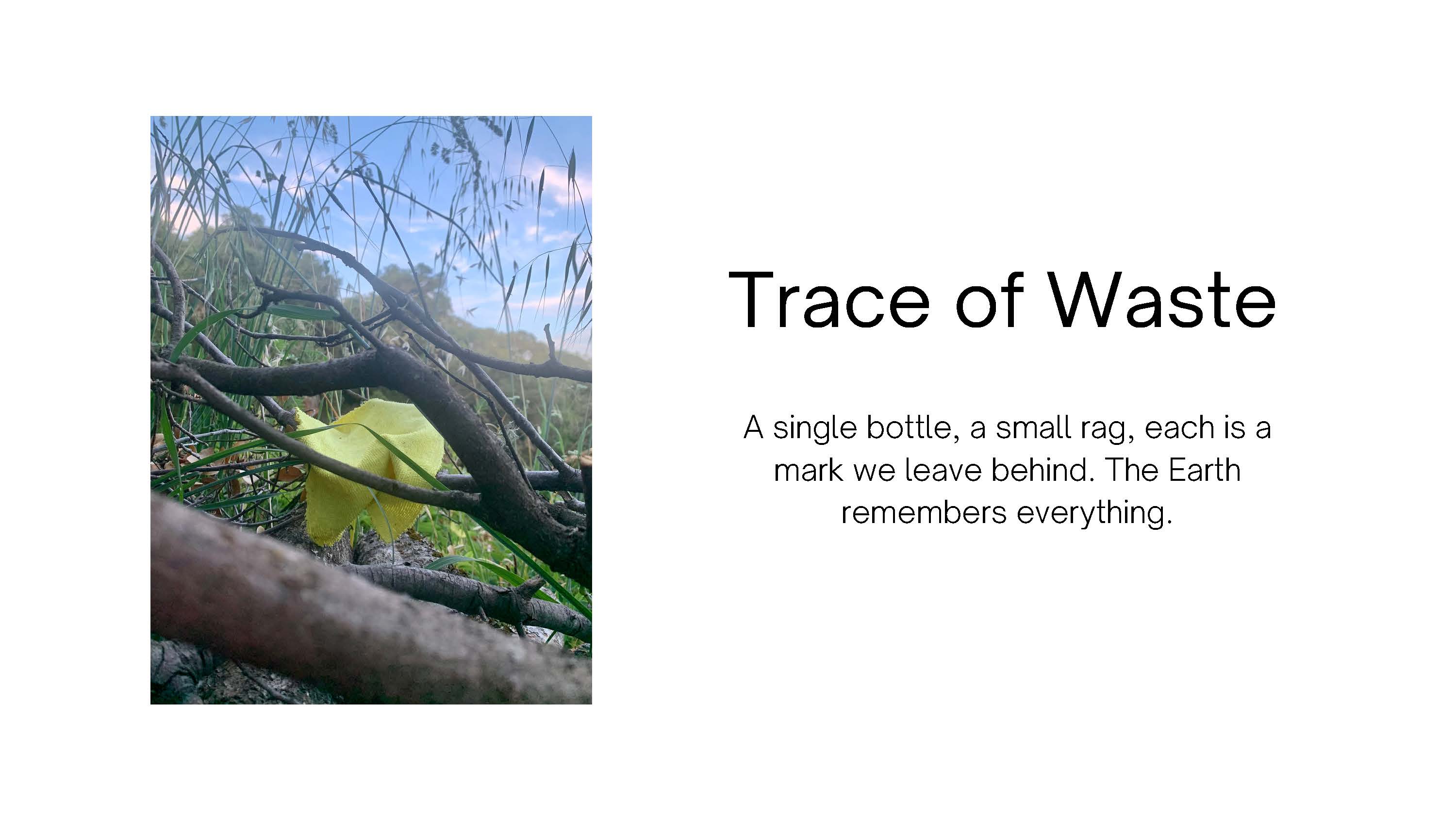 Photo of a piece of trash stuck in a tree. Text: Trace of Waste. A single bottle, 
					a small rag, each is a mark we leave behind. The Earth remembers everything.