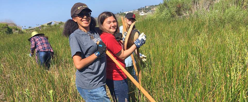 Smiling people doing habitat restoration in wetland