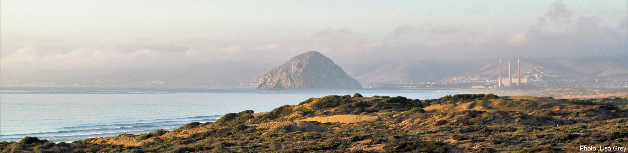 Morro Bay, Photo by Lisa Grey