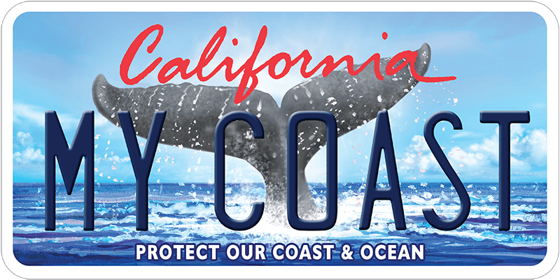 Whale Tail License Plate