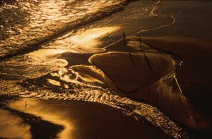 People on Arroyo Burro Beach, Santa Barbara, Photo Taken by Ines Roberts