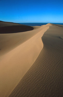 Guadalupe Sand Dunes by Chuck Graham