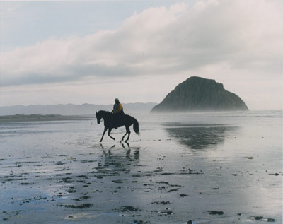 Rider, Morro Strand Brach by Gretchen Moreno