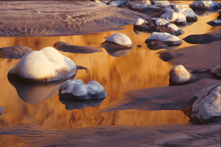 "Reflections" Torrey Pines State Beach