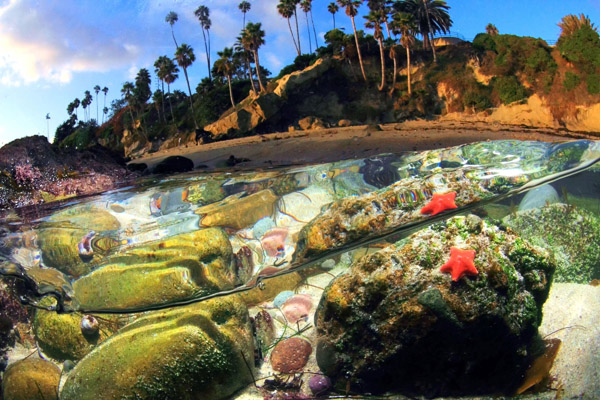 Winter's Afternoon, Laguna Beach, by Dale Kobetich