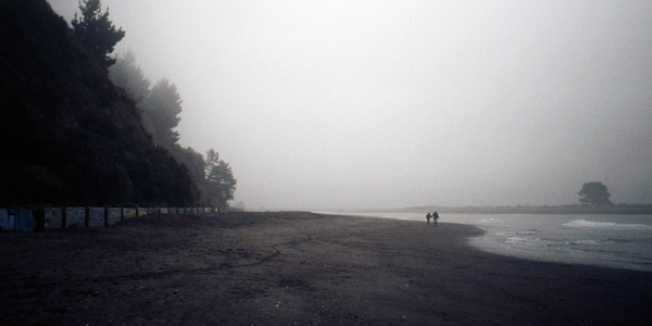 On A Walk, Bolinas Beach, by Devin Wilson