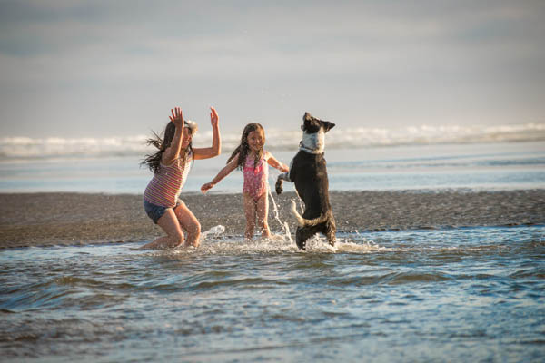 Water-Catching Dog, Moonstone Beach, Trinidad, by Carissa Ranario