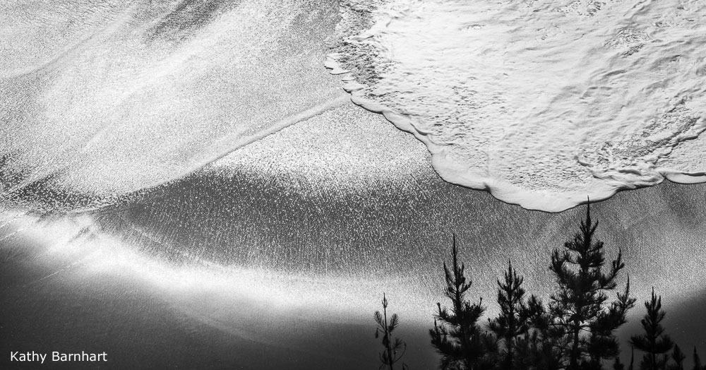 Photo of wave on beach and tree in foreground in black and white, by Kathy Barnhart