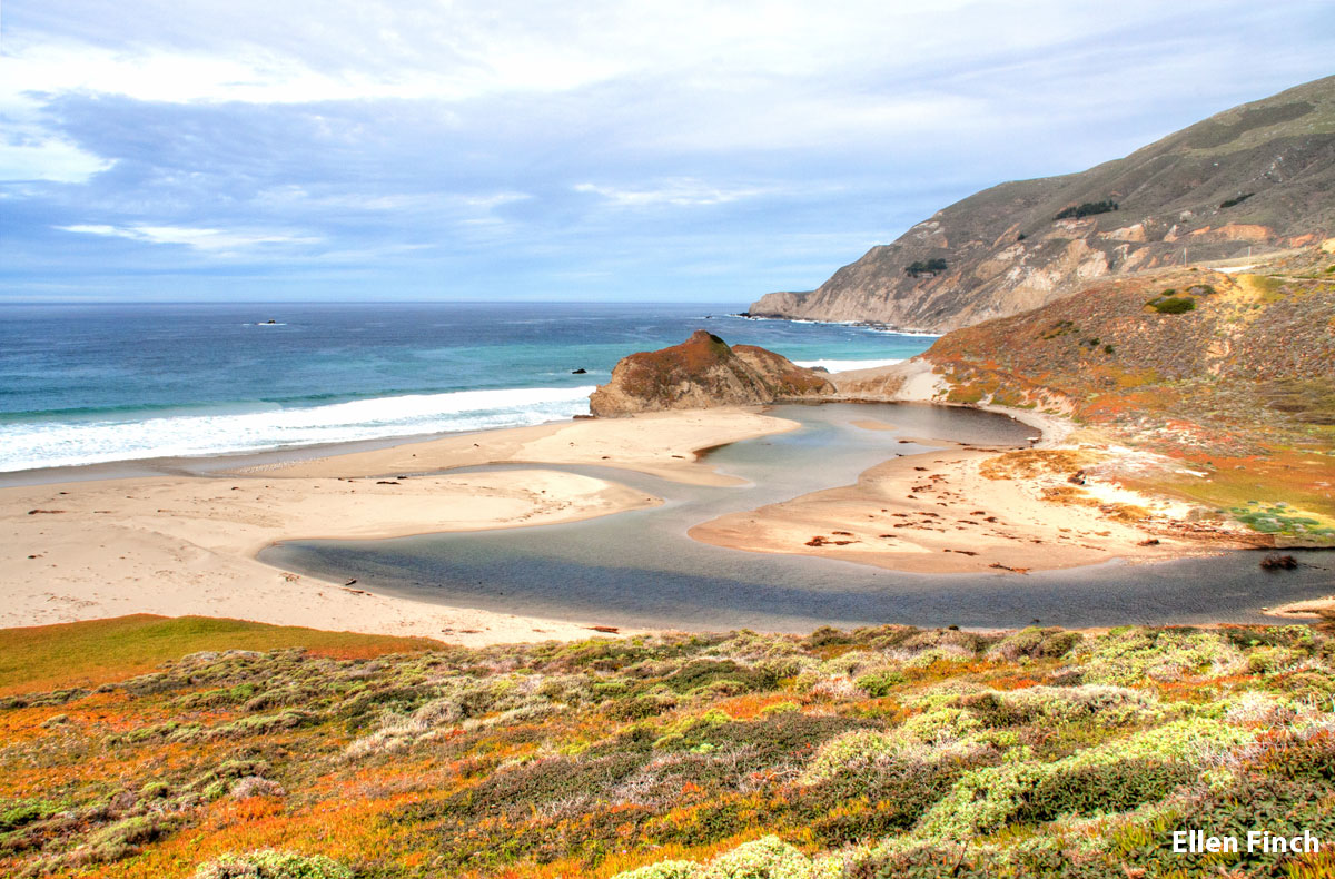 Photo of the mouth of Bixby Creek meandering across the beach, spring wild flowers in the foreground and the blue ocean in the distance