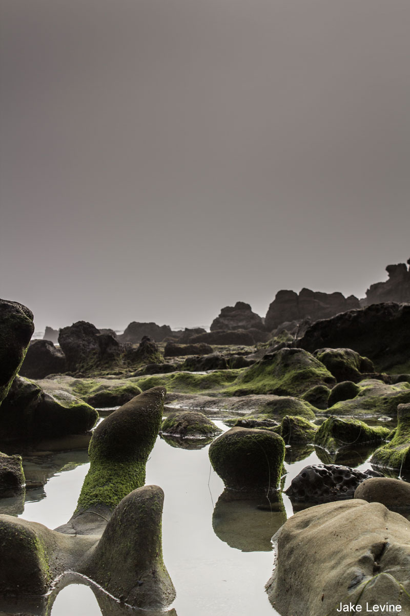 Photo of gray rocks topped with green, surrounded by still water