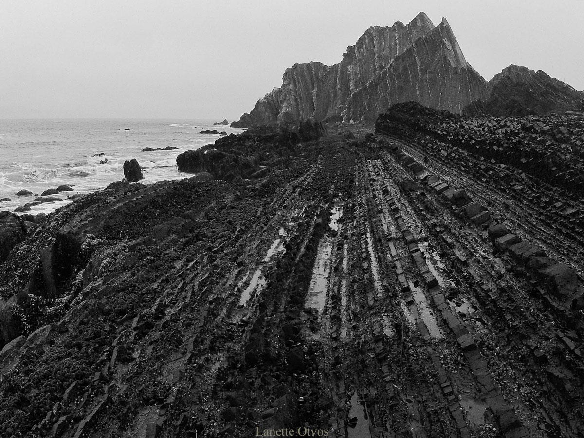 Photo of Pedro Point in black and white, by Lanette Otvos