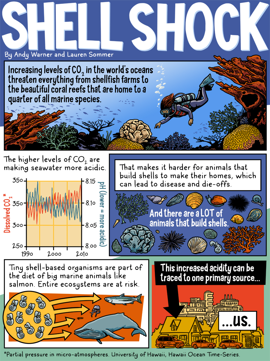 shell shock, Animals