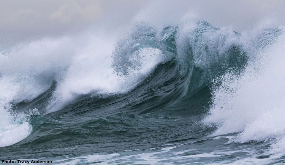 Photo of breaking wave by Tracy Anderson